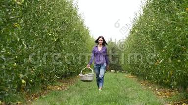一个美丽的女孩去看种植园，在一个阳光明媚的日子。 概念：生物产品、天然产品、新鲜产品